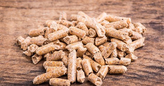 What Are The Advantages of Biomass